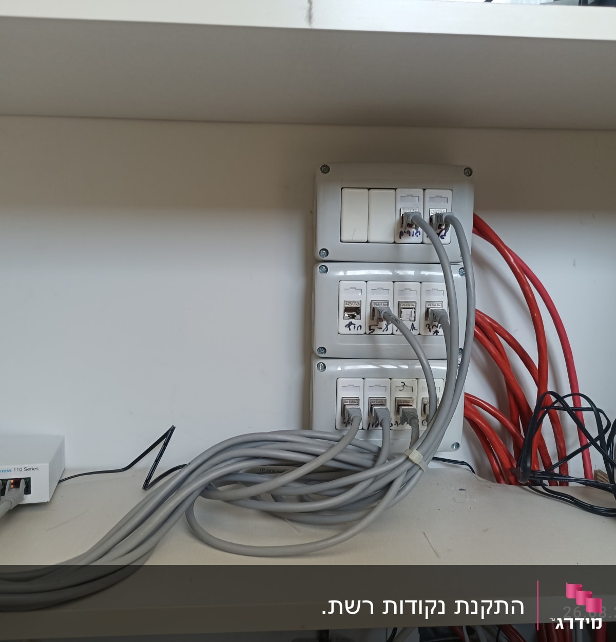 מתג רשת עם כבלים אפורים ואדומים מחוברים